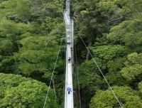 The Canopy at Temburong